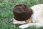 Das kann ich mir alles nicht mehr angucken ;-) O-Ton: Sally