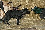 Besuch von Emeline