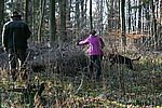 Rosina, Frieda und der Reisighaufen