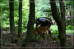 Andreas mit Buster