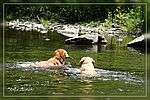 Buster und Sally