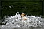 Tsch&uuml;ss ich schwimm lieber weg